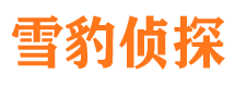 井陉县市调查公司